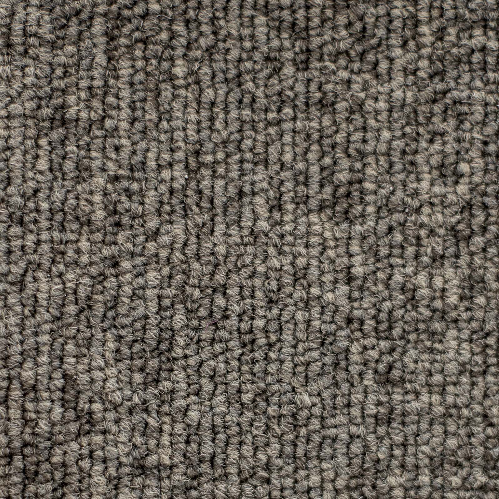 Ковролин "Зартекс" Daily 68 коричневый (4м) — купить в Керчи