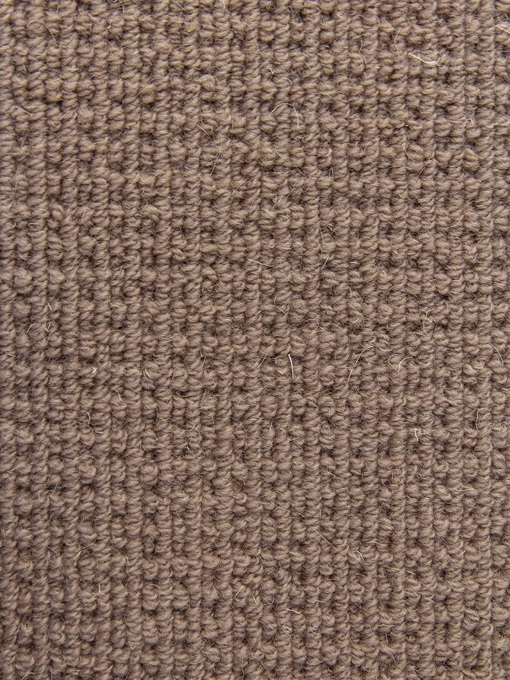 Ковровое покрытие "Bonkeel" Welfare Brown (ширина 4м) — купить в Керчи