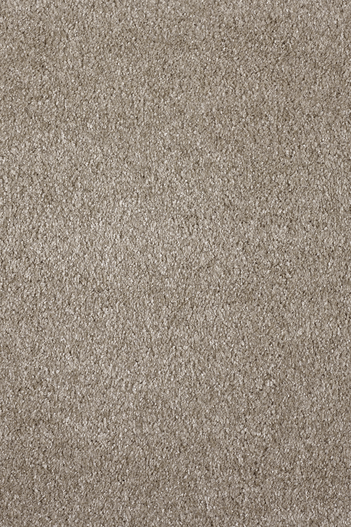 Ковровое покрытие "Bonkeel" Parana 34 (ширина 4м/5м) — купить в Керчи