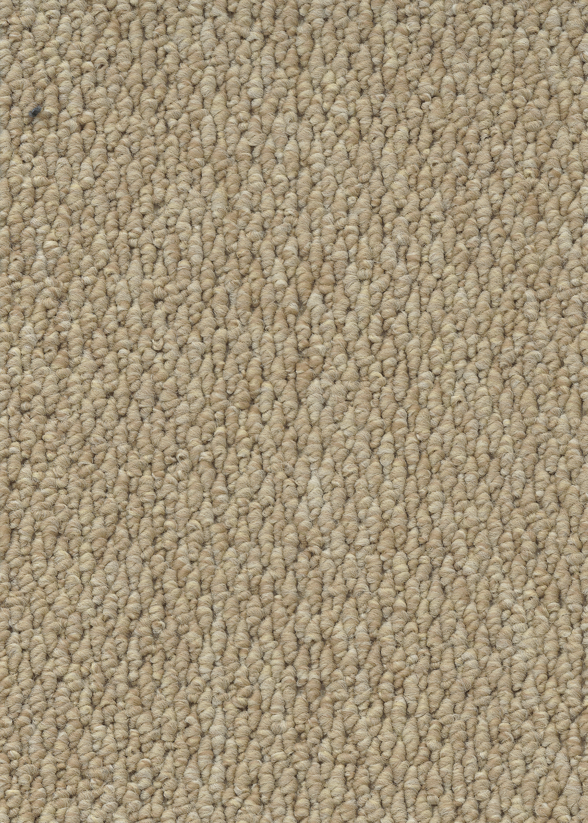 Ковровое покрытие "Bonkeel" Skye 50 (ширина 4м) — купить в Керчи